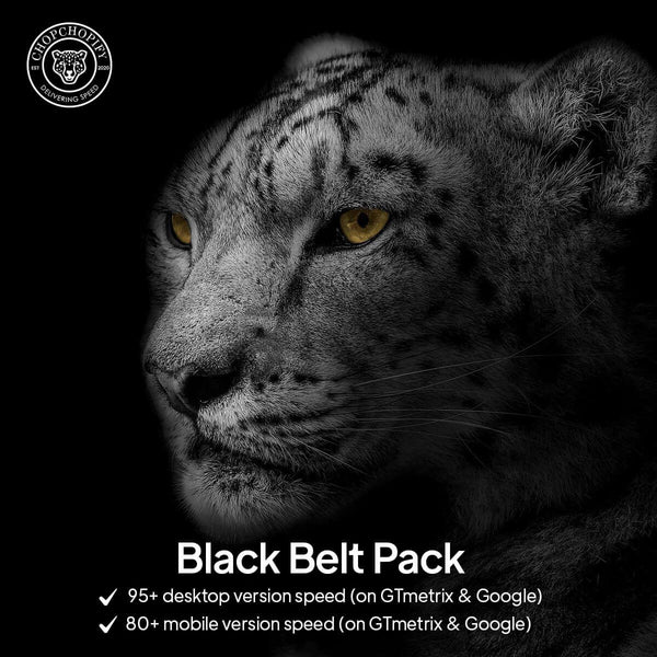 Shopify Speed Optimization Black Belt Pack